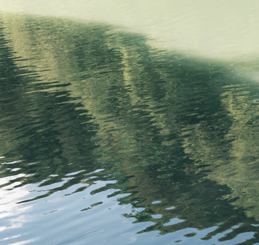 Garden reflection in water